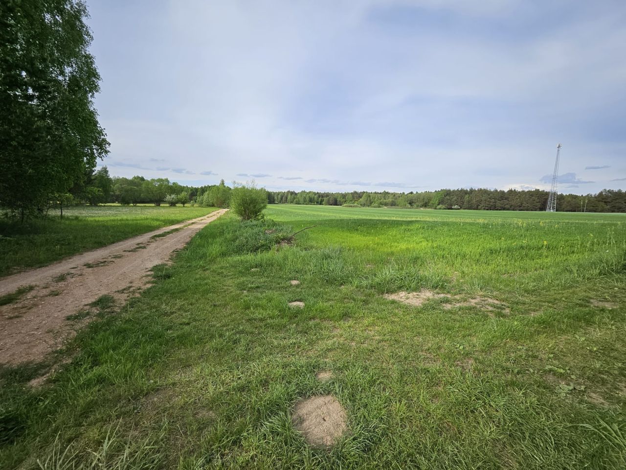 Działka rolno-budowlana Saki. Zdjęcie 5