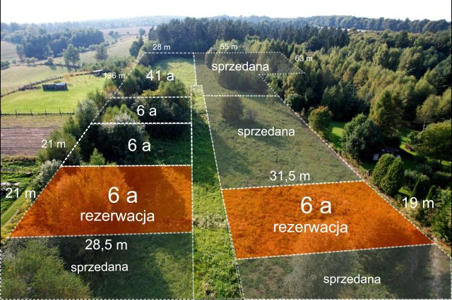 Działka budowlana Domaniewice Psiarskie. Zdjęcie 1