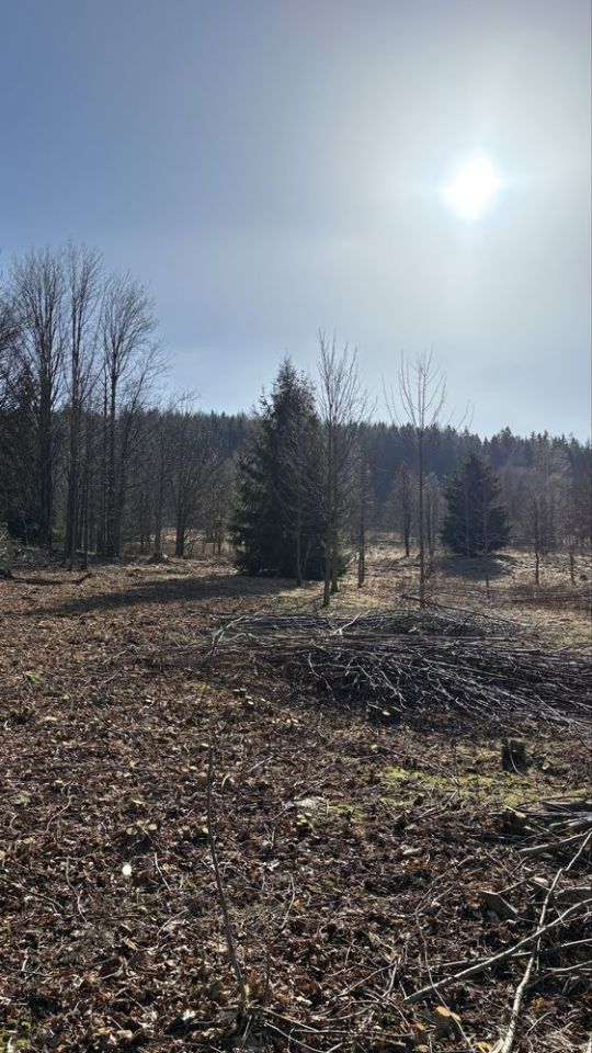 Działka budowlana Świeradów-Zdrój, ul. Sudecka. Zdjęcie 2