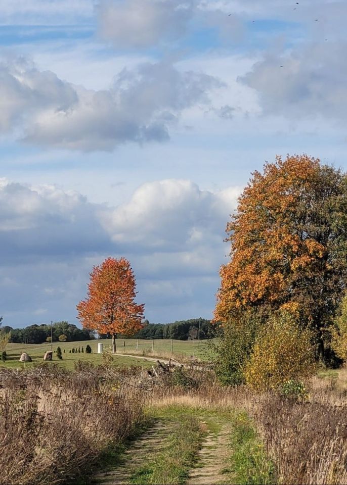 Działka budowlana Wołcza Wielka. Zdjęcie 3