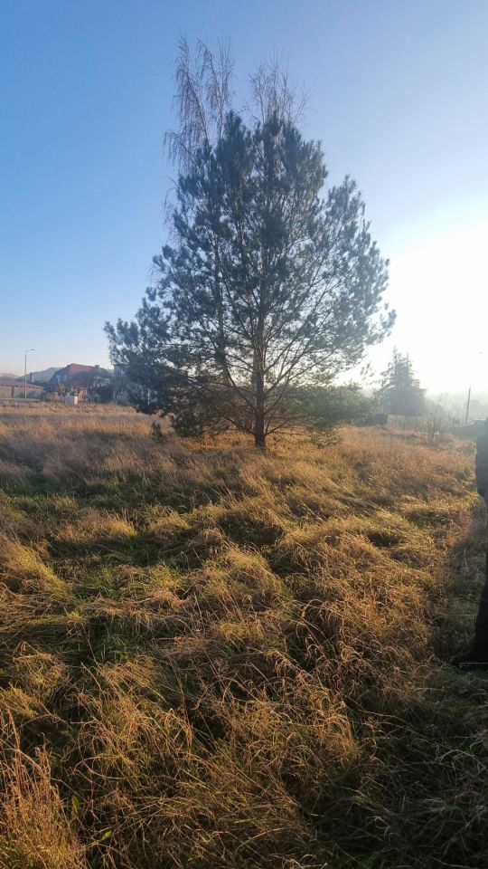 Działka budowlana Bożepole Małe, ul. Paraszyńska. Zdjęcie 3