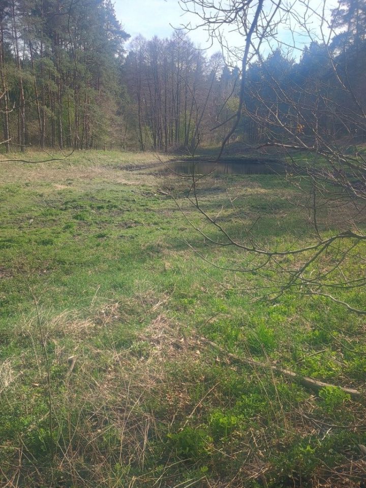 Działka rekreacyjna Grabowiec. Zdjęcie 3