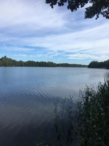 Działka rolno-budowlana Strączno. Zdjęcie 3