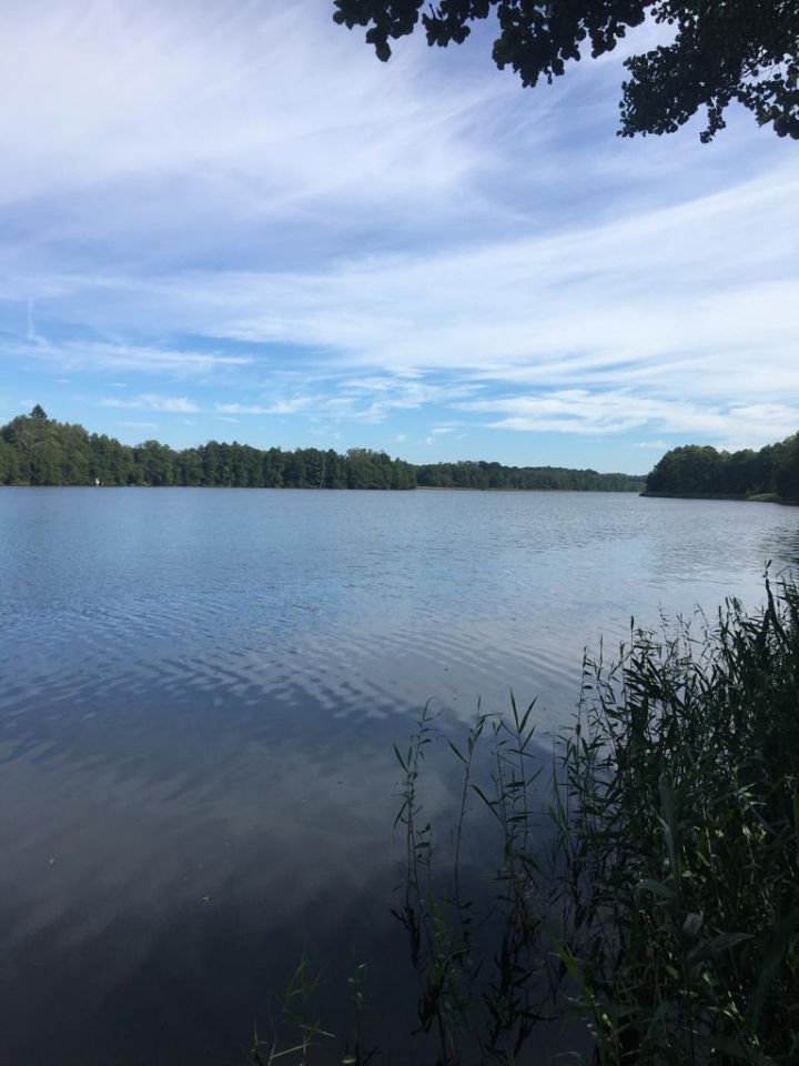 Działka rolno-budowlana Strączno. Zdjęcie 3