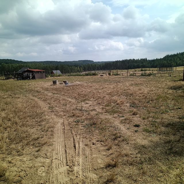 Działka rolno-budowlana Zbrzyca. Zdjęcie 14