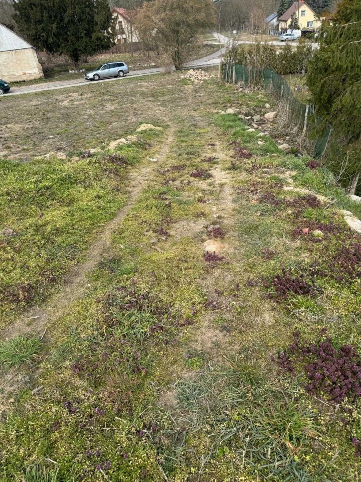 Działka rolno-budowlana Żabice, ul. Kostrzyńska. Zdjęcie 7