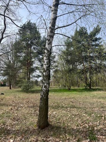 Działka budowlana Milanówek Polesie, ul. Marii Konopnickiej. Zdjęcie 3