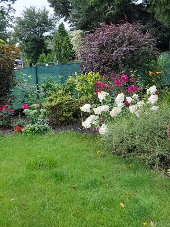 Działka rod Kruszyn Krajeński. Zdjęcie 5