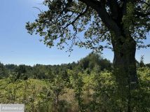 Działka budowlana Gorczyca. Zdjęcie 3