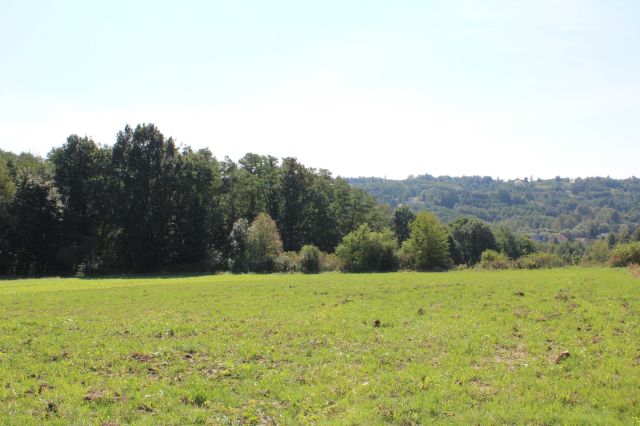 Działka rolno-budowlana Buchcice. Zdjęcie 1