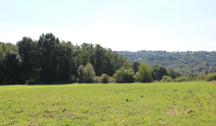 Działka rolno-budowlana Buchcice