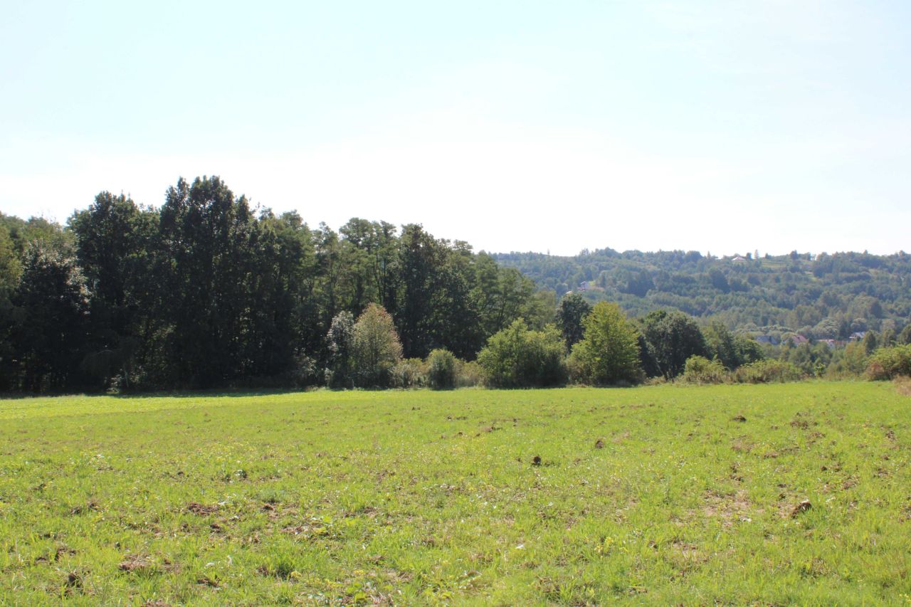 Działka rolno-budowlana Buchcice