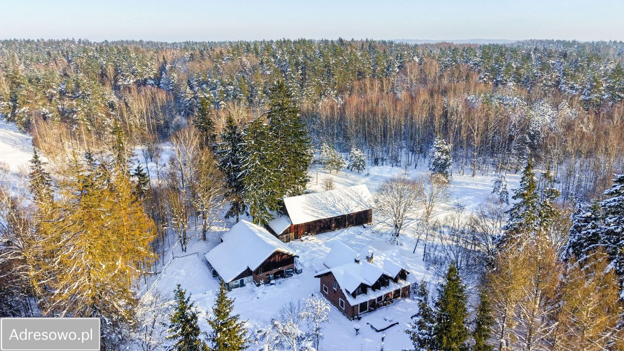 siedlisko, 5 pokoi Nowe Kawkowo. Zdjęcie 11