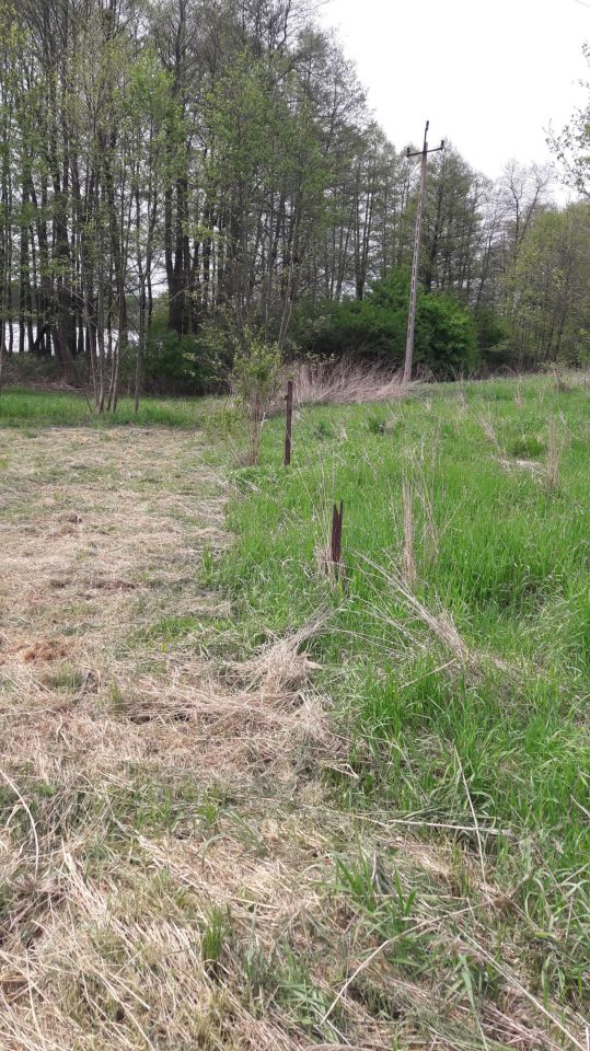 Działka Wełnica. Zdjęcie 4