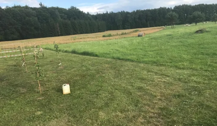 Działka rolno-budowlana Stradomno