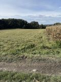 Działka rolna Trzebina. Zdjęcie 2