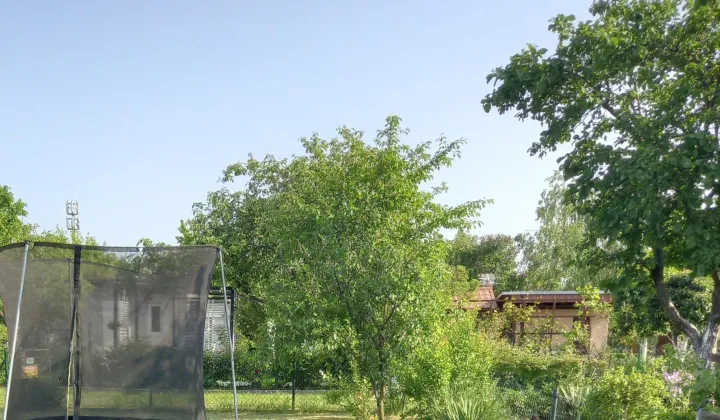 Działka rod Legnica Piekary Wielkie, ul. Spokojna