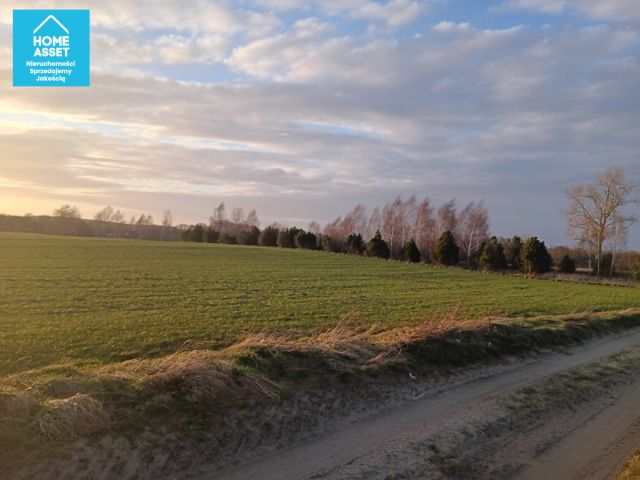 Działka rolna Gniewino, ul. Mostowa. Zdjęcie 15
