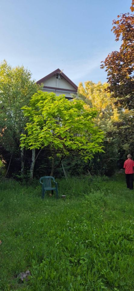 dom wolnostojący, 5 pokoi Sadów Kopce, ul. Powstańców Śląskich. Zdjęcie 82