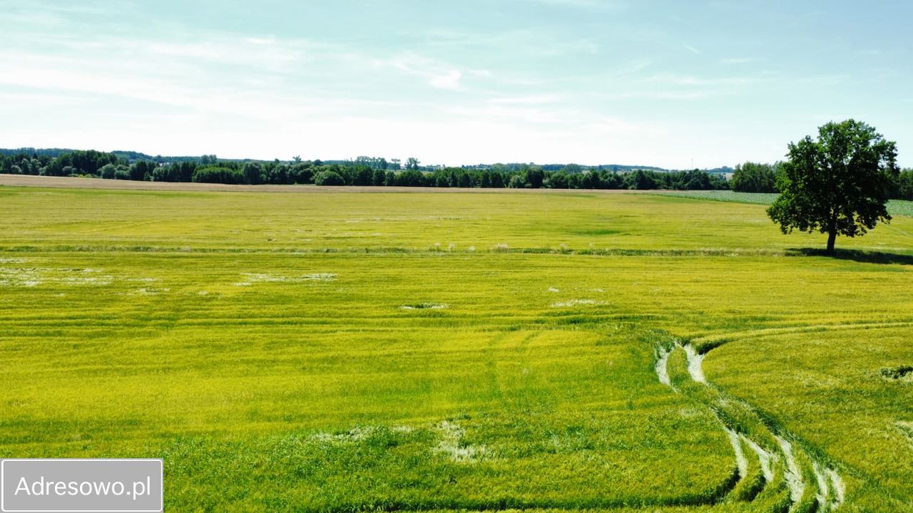 Działka rolno-budowlana Baranowice. Zdjęcie 7