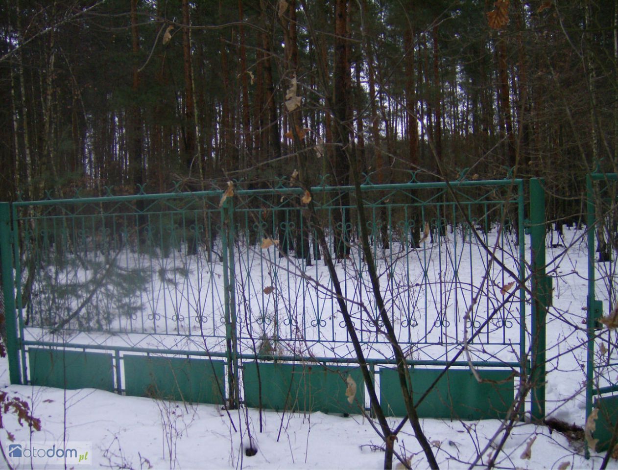 Działka inwestycyjna Adamów-Wieś, ul. Puszczyka. Zdjęcie 6