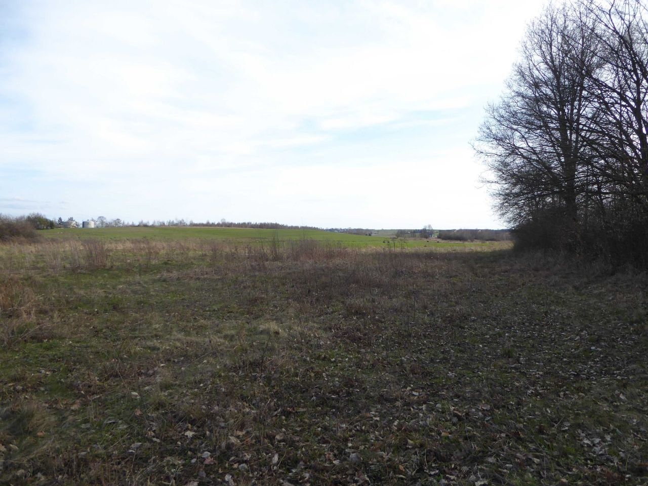 Działka rekreacyjna Koclin. Zdjęcie 8