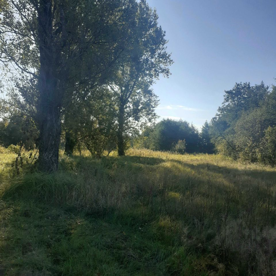 Działka rolna Zagroby. Zdjęcie 6