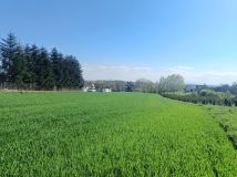 Działka budowlana Dąbrowa Szlachecka Wyźrał, ul. Św. Jana Pawła II