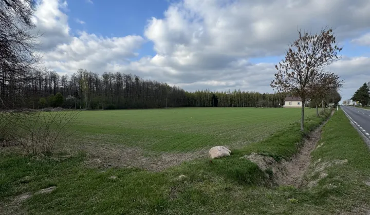 Działka budowlana Skorosze