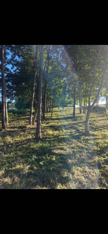 Działka budowlana Łodygowice, ul. Pod Groniem. Zdjęcie 1