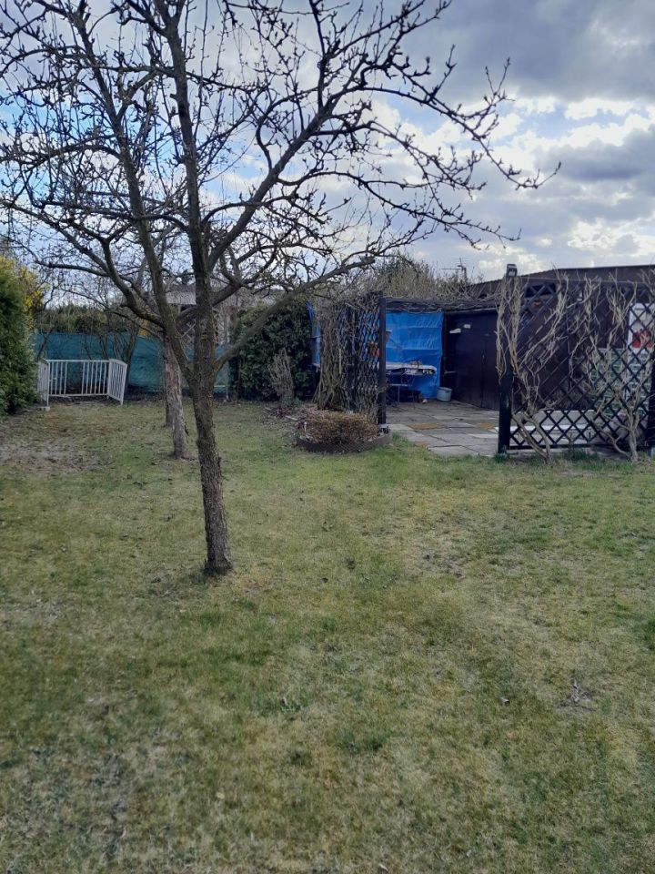 Działka rod Zduńska Wola. Zdjęcie 5