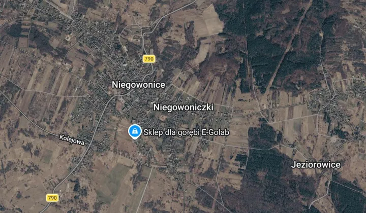 Działka rolna Niegowoniczki