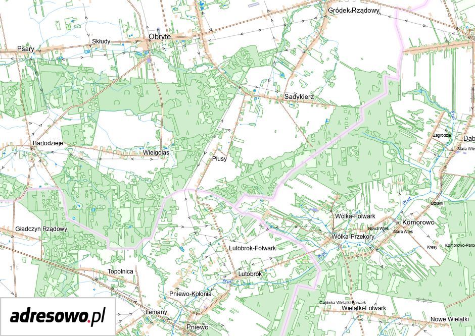 Działka rolno-budowlana Płusy. Zdjęcie 2
