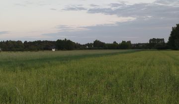 Działka Kozinki