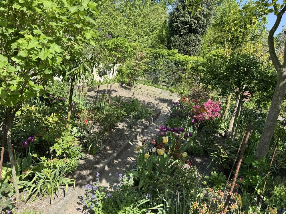 Działka rod Gliwice Ostropa, ul. Ku Dołom. Zdjęcie 4