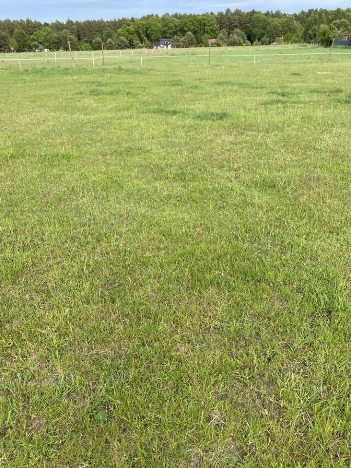 Działka budowlana Sasino