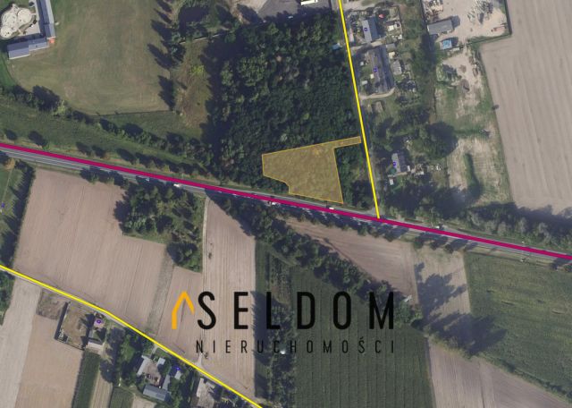 Działka inwestycyjna Cienin Zaborny. Zdjęcie 1
