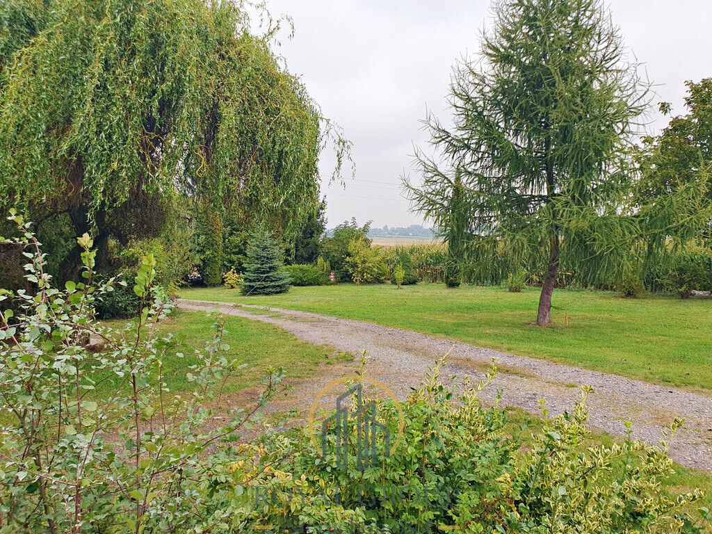 Działka Bystrzejowice Pierwsze. Zdjęcie 3