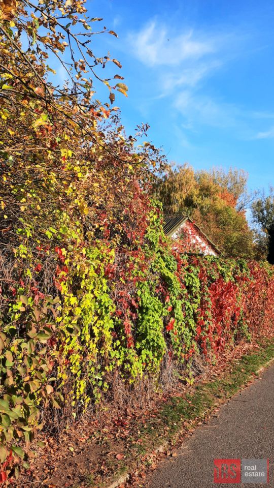 Mieszkanie 2-pokojowe Warszawa Bielany, ul. Podleśna. Zdjęcie 16