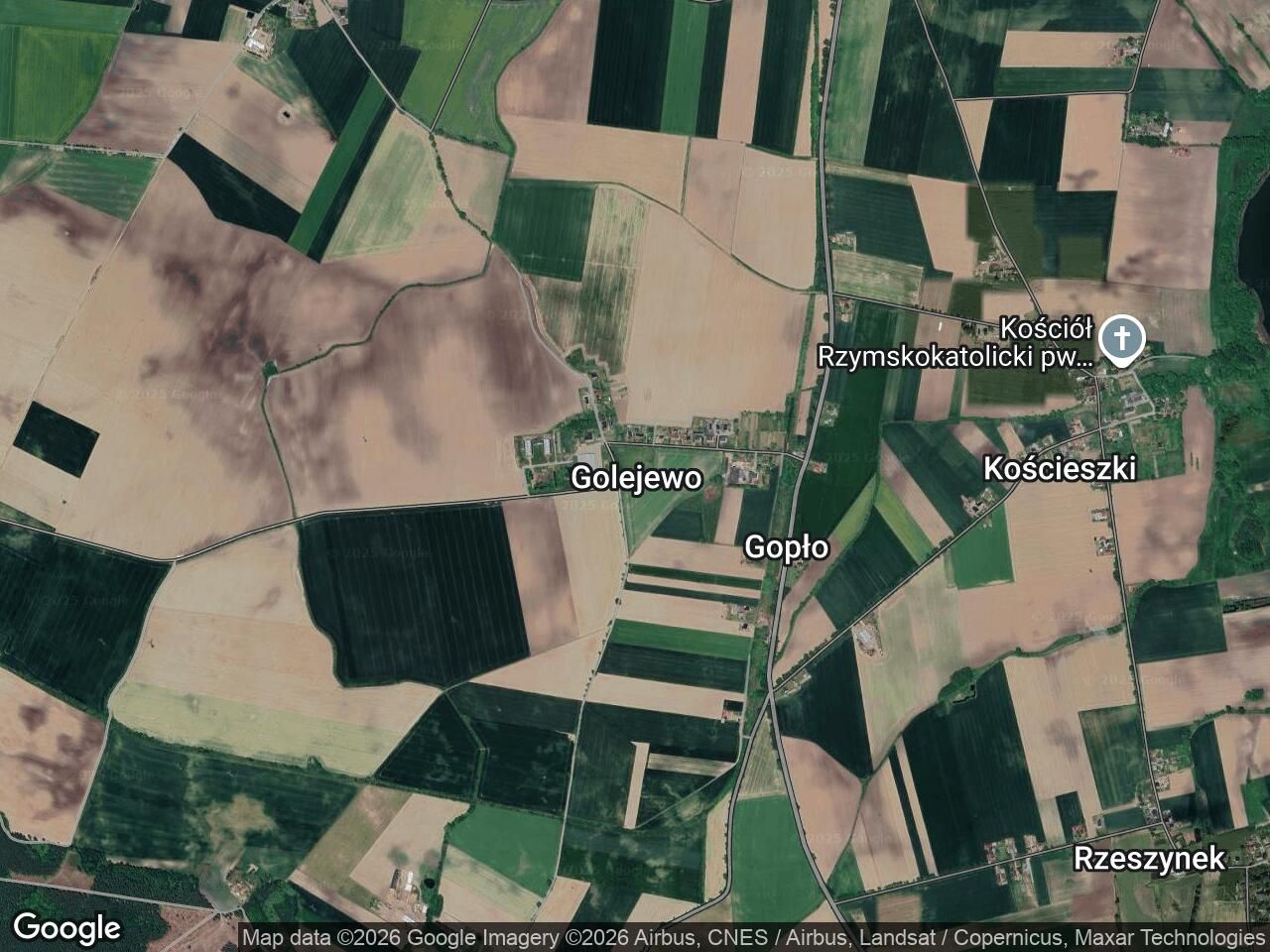 Działka leśna Golejewo