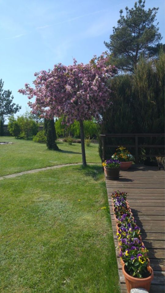 dom wolnostojący Giby. Zdjęcie 2