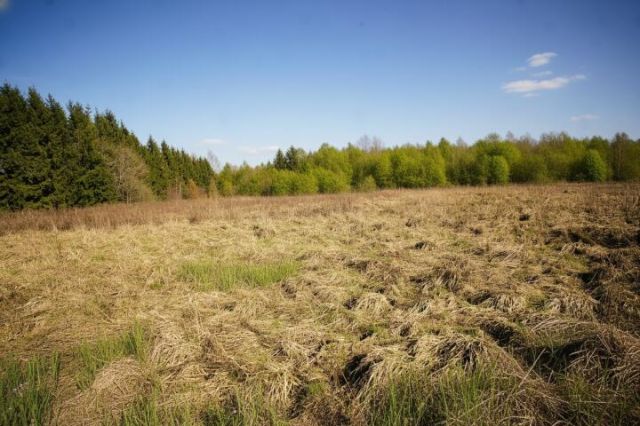 Działka Węgorzewo. Zdjęcie 7