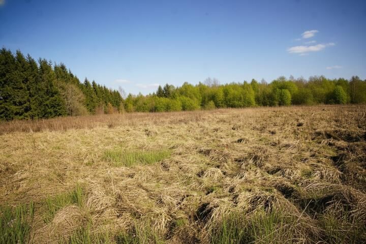 Działka Węgorzewo. Zdjęcie 7