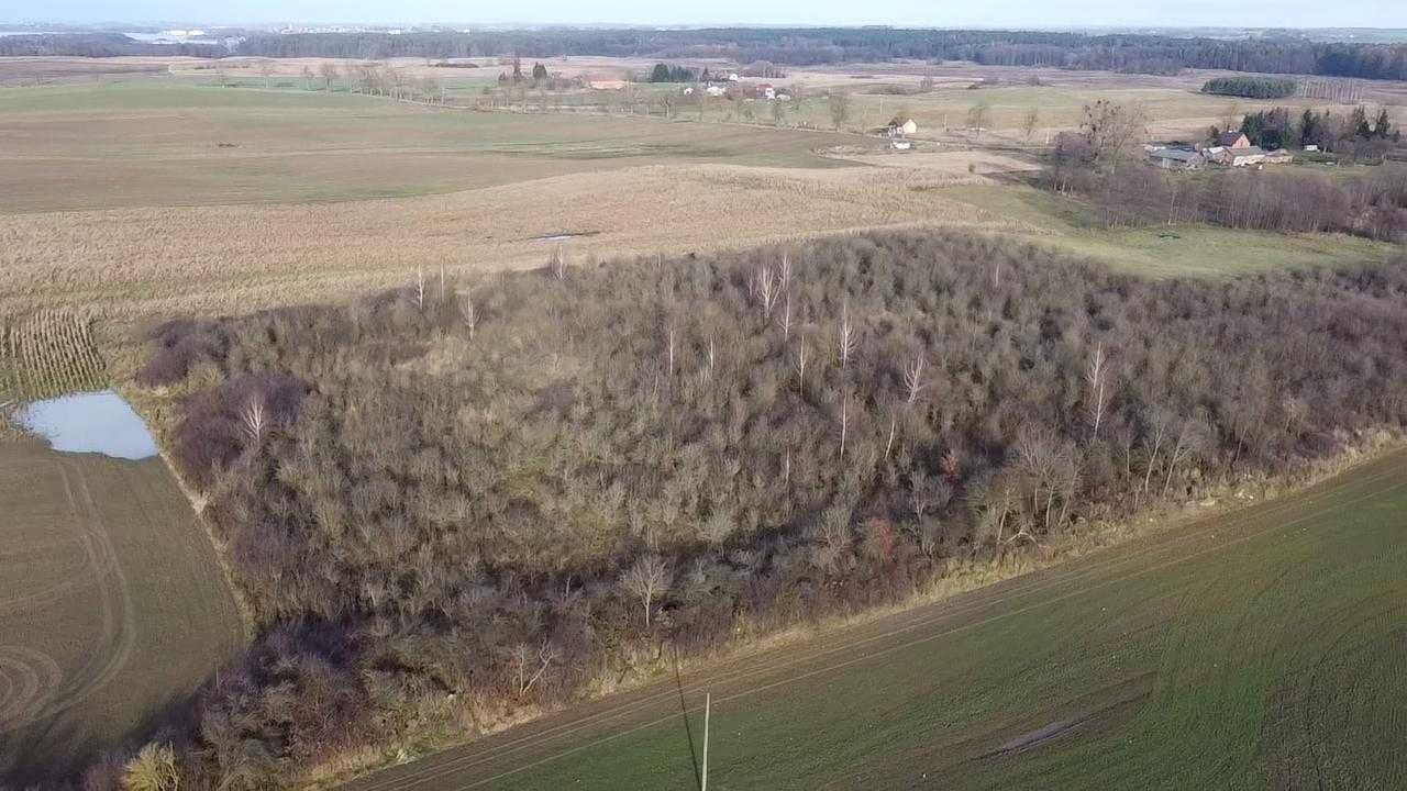 Działka rolna Dobrzyki. Zdjęcie 3