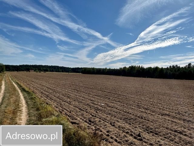 Działka rolno-budowlana Folwark Berżniki. Zdjęcie 7