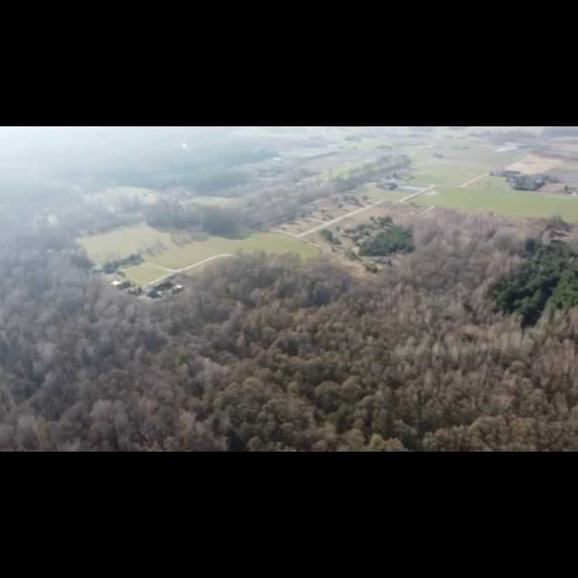 Działka leśna Gąsocin. Zdjęcie 6