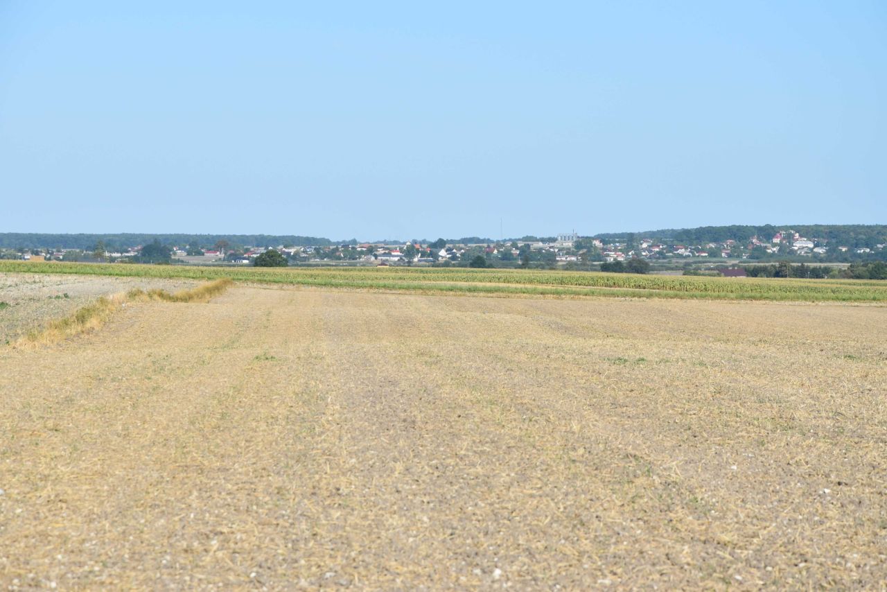 Działka budowlana Wierzbie. Zdjęcie 4