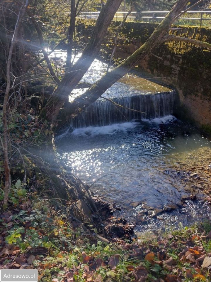 Działka rekreacyjna Szczawa. Zdjęcie 13