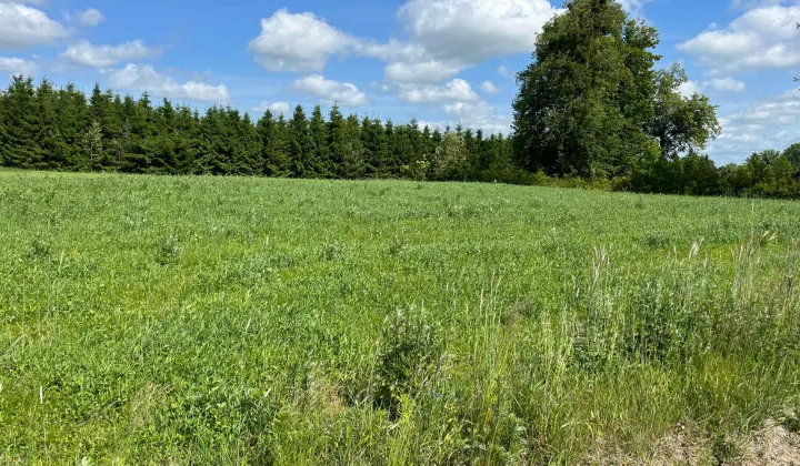 Działka budowlana Runowo