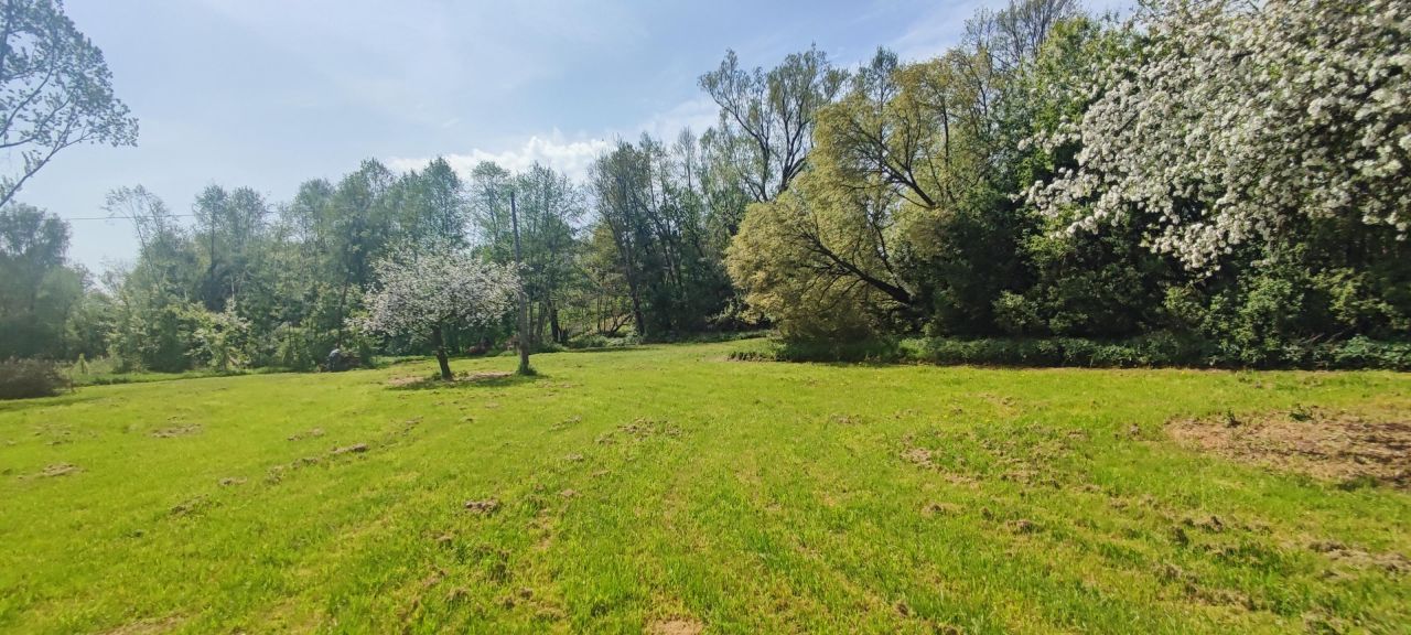 Działka budowlana Tłumaczów Tłumaczówek. Zdjęcie 5